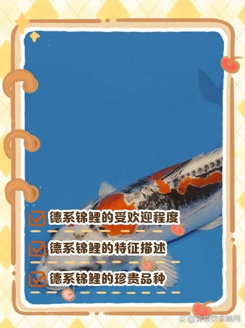 德系臉譜錦鯉圖片