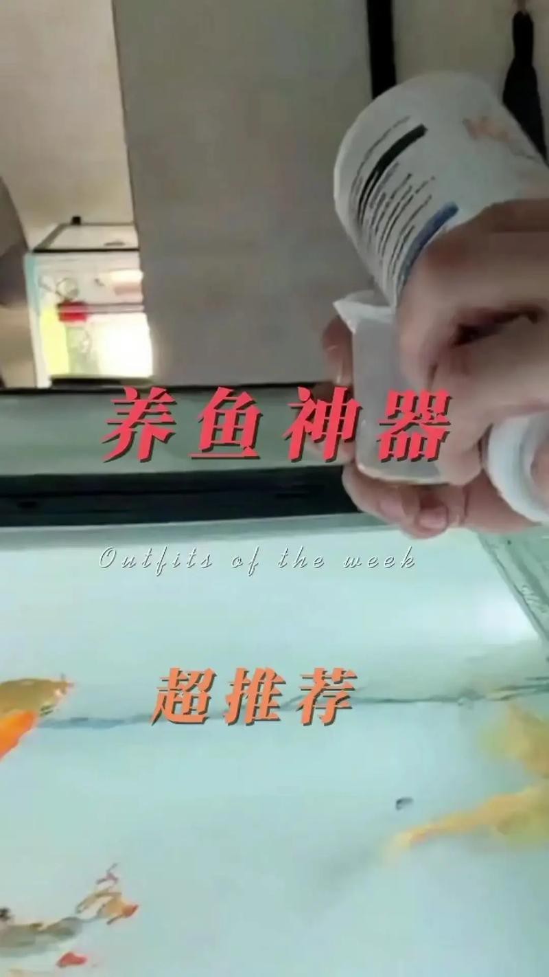 紅龍魚魚塘