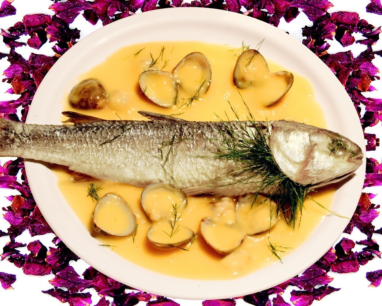 申古銀版魚一般最忌三種食物