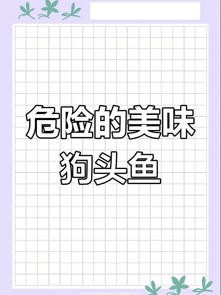 狗頭魚是河豚的一種嗎