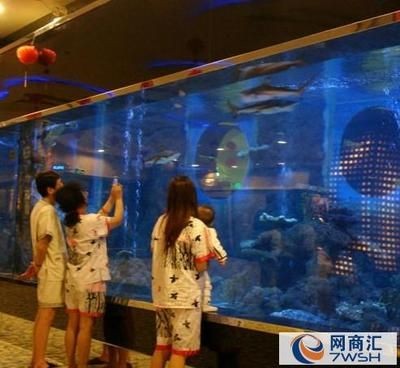 選購海鮮市場魚缸需要注意哪些問題？：海鮮市場魚缸的優勢