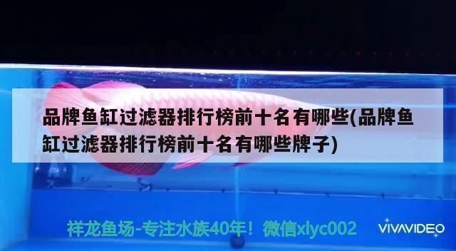 品牌魚(yú)缸過(guò)濾器排名榜：品牌魚(yú)缸過(guò)濾器品牌排名榜涵蓋了市場(chǎng)上最受歡迎的幾個(gè)品牌