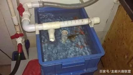 魚缸過濾器和過濾棉怎么安裝圖解：如何正確安裝魚缸過濾器和過濾棉