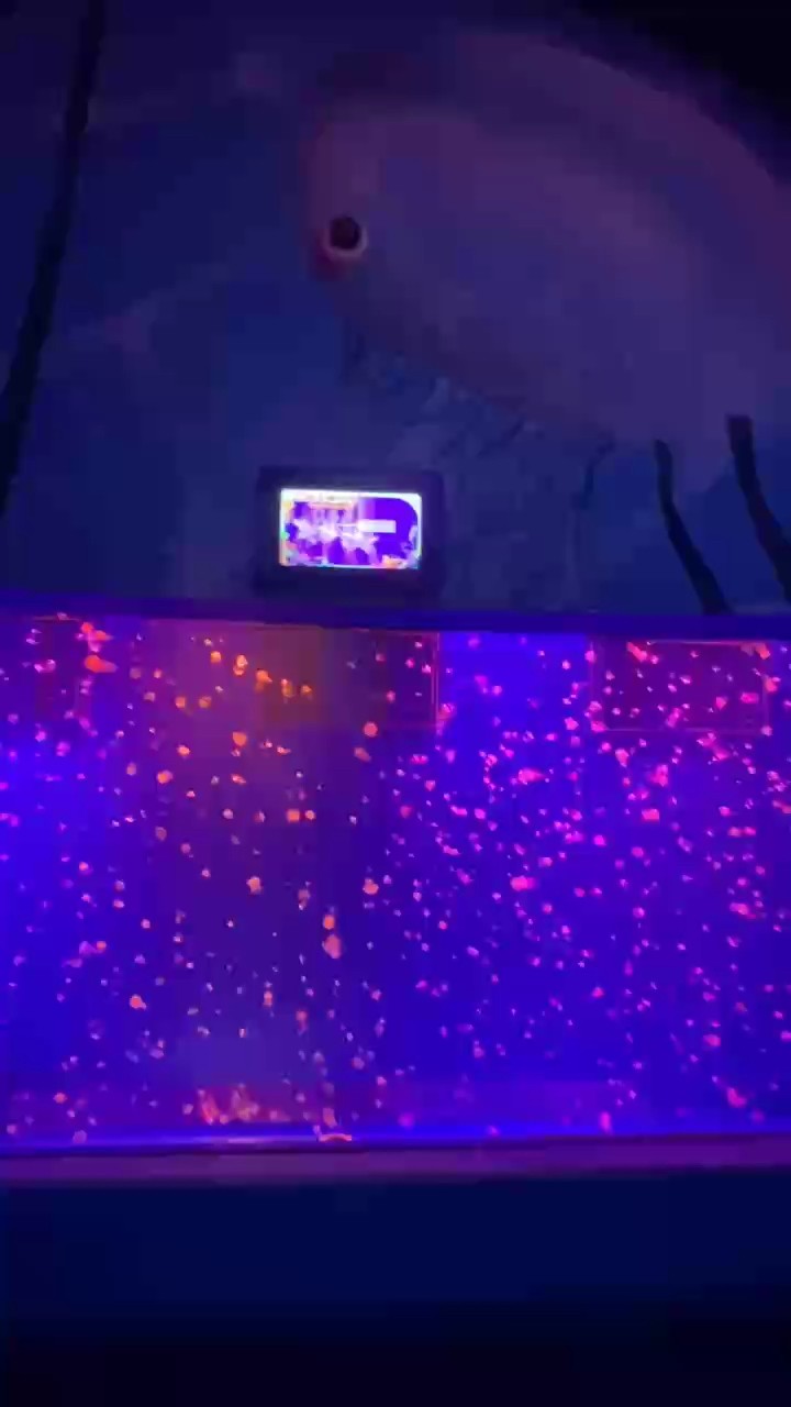 龍魚認主后會有哪些表現，上海海洋大學研究發現龍魚認主后的典型行為詳解