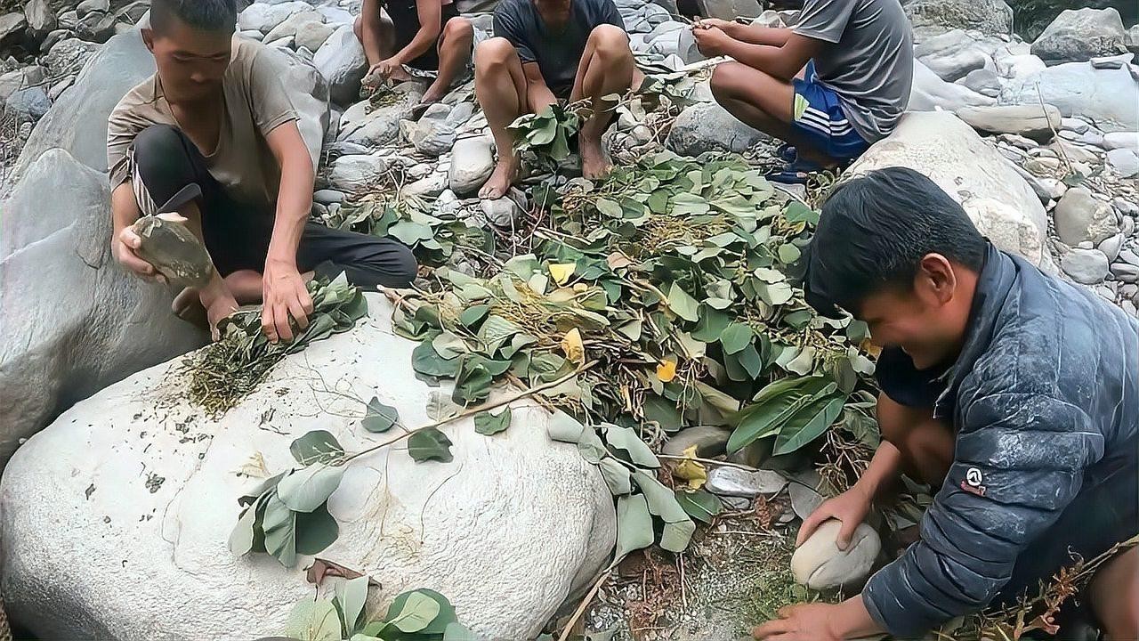 龍魚掉眼怎么手術用的什么麻藥