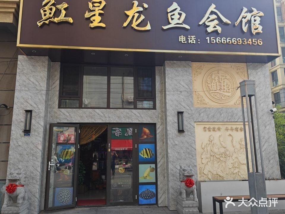 青島龍魚世家地址電話查詢