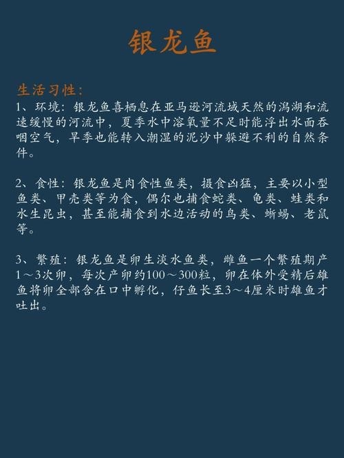 銀龍魚最佳混養方法圖解