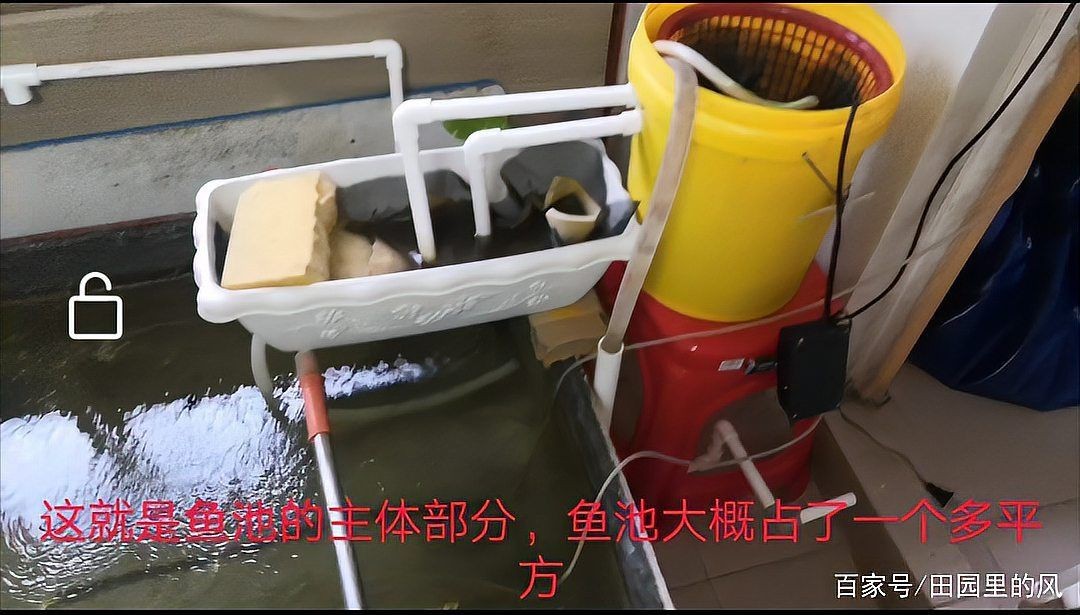 高密度養殖魚池水循環系統 龍魚論壇 第3張 高密度養殖魚池水循環系統 高密度養殖魚池水循環系統 龍魚論壇 第3張