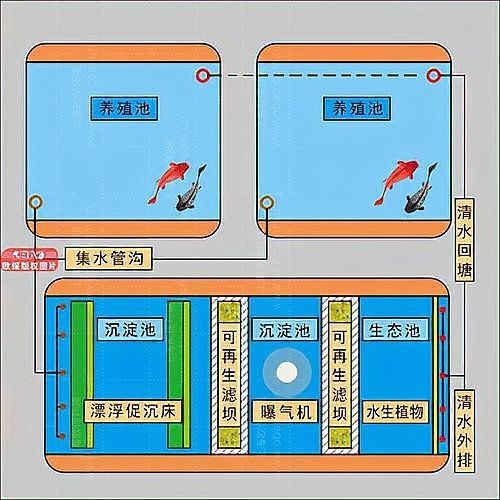 高密度養殖魚池水循環系統 龍魚論壇 第1張 高密度養殖魚池水循環系統 高密度養殖魚池水循環系統 龍魚論壇 第1張