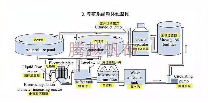 高密度養殖魚池水循環系統 龍魚論壇 第7張 高密度養殖魚池水循環系統 高密度養殖魚池水循環系統 龍魚論壇 第7張