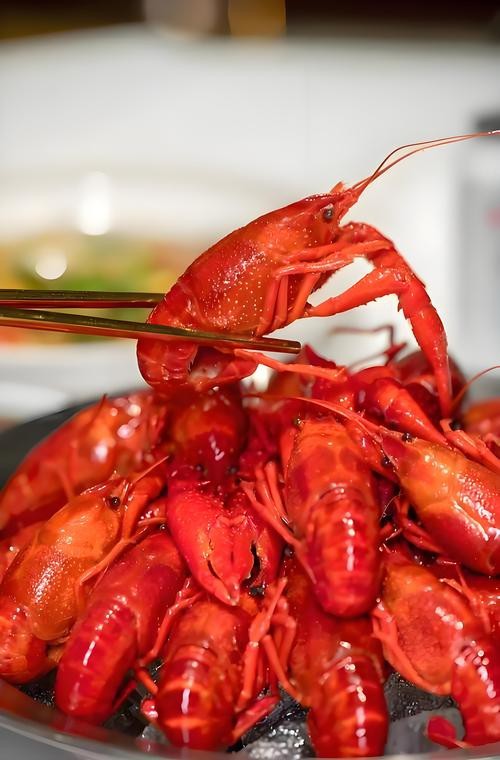 能再提供一些龍蝦的圖片嗎？