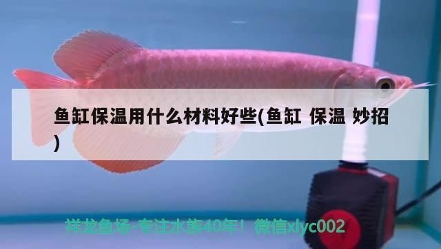 魚缸保溫材料選購技巧：選購魚缸保溫材料的技巧