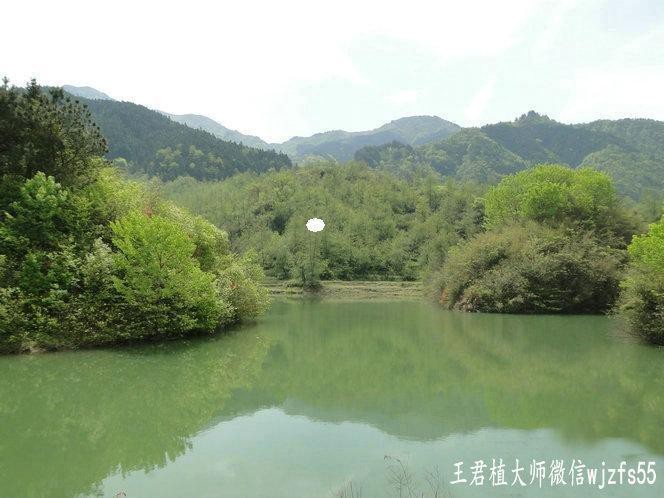 龍形地風水大富大貴 龍形地風水大富大貴 龍魚論壇 第3張
