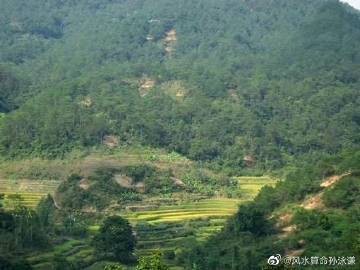 龍形地風水大富大貴 龍形地風水大富大貴 龍魚論壇 第6張