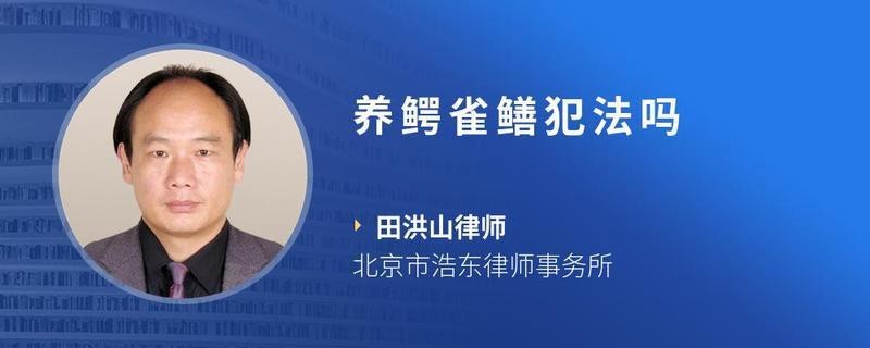 鱷雀鱔家養(yǎng)一只犯法嗎