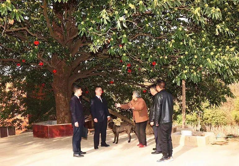 鱷雀鱔家養(yǎng)一只犯法嗎