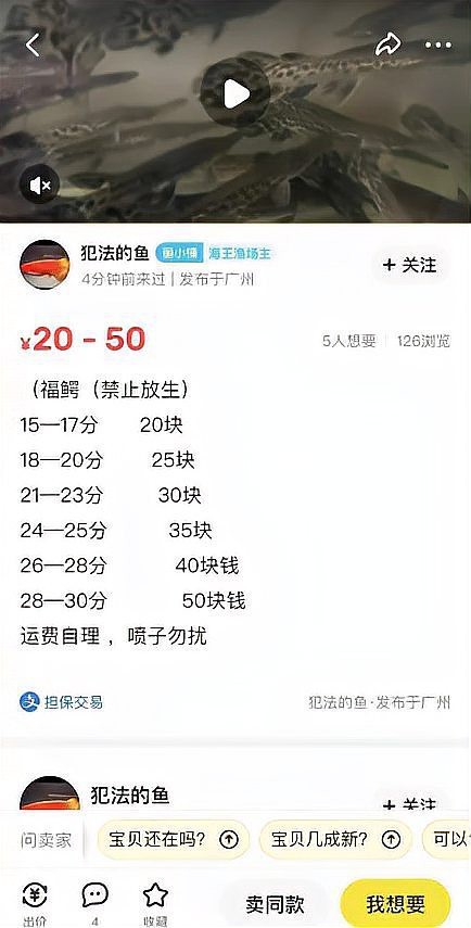 鱷雀鱔家養(yǎng)一只犯法嗎