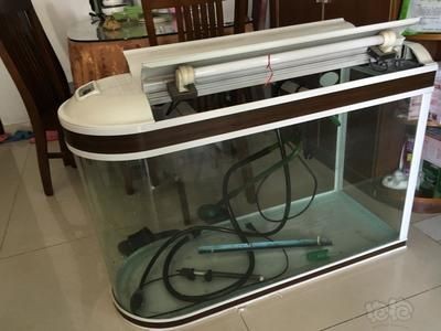 底濾魚缸斷電后往下反水（底濾魚缸停電后下水方式?jīng)Q定了在停電后水位的變化）