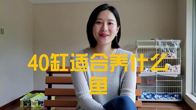1204040的魚缸適合養(yǎng)什么魚