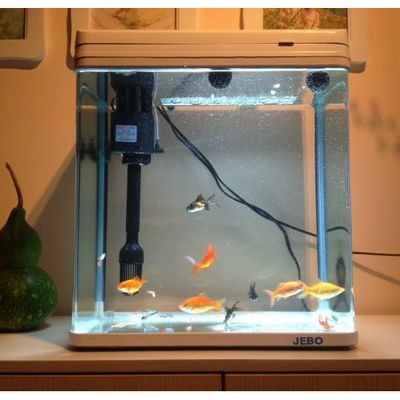 佳寶魚缸官網電話（佳寶魚缸售后維修流程,佳寶魚缸靜音技術解析）