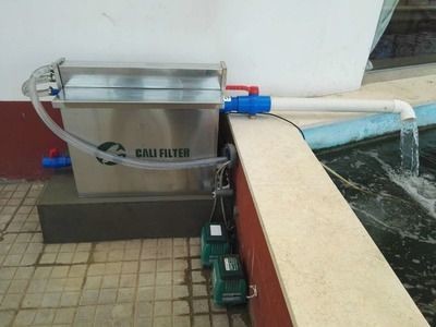 魚缸水質管理常見誤區：魚缸水質管理常見誤區不僅影響了魚兒健康，也可能導致水質問題加劇