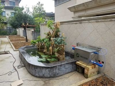 魚缸水質管理常見誤區：魚缸水質管理常見誤區不僅影響了魚兒健康，也可能導致水質問題加劇