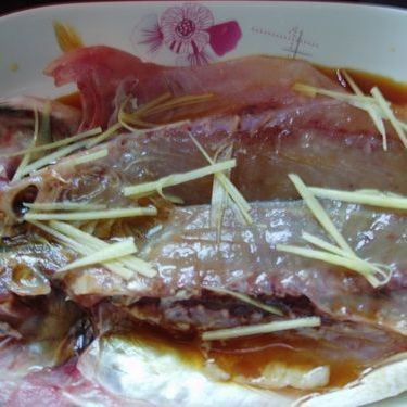 金龍魚最佳做法