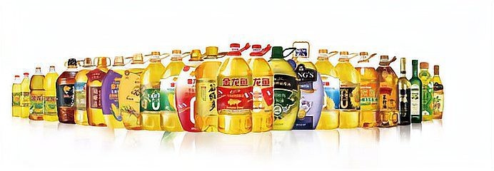 金龍魚最佳做法