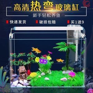 小魚缸氧氣泵安裝圖片（小魚缸氧氣泵安裝圖片小魚缸氧氣泵安裝步驟和注意事項）