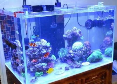 小魚缸氧氣泵安裝圖片（小魚缸氧氣泵安裝圖片小魚缸氧氣泵安裝步驟和注意事項）