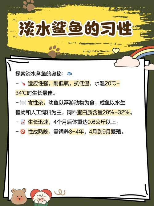 淡水白鯊圖片大全