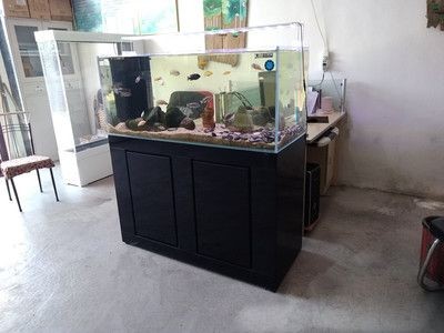 廣州大型魚缸定做價(jià)格多少錢一個(gè)（廣州大型魚缸定做價(jià)格范圍）