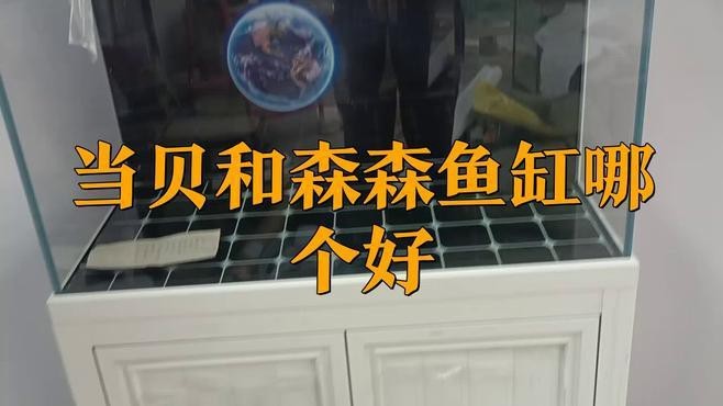 當貝和森森魚缸哪個好 當貝和森森魚缸哪個好 龍魚論壇 第1張