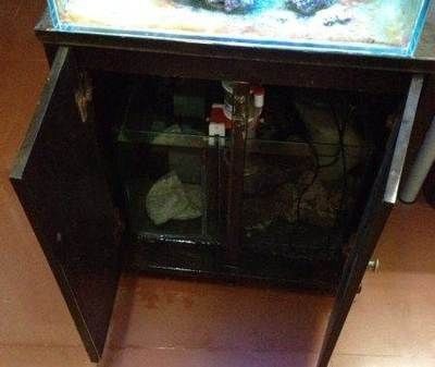 廣州二手魚缸轉(zhuǎn)讓信息：您可以訪問當(dāng)?shù)氐亩治锲方灰灼脚_(tái)：二手魚缸轉(zhuǎn)讓背后的故事