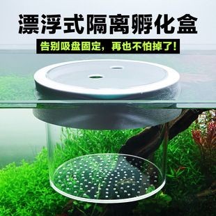 魚缸隔離盒是干什么的：魚缸隔離盒主要用于保護魚類