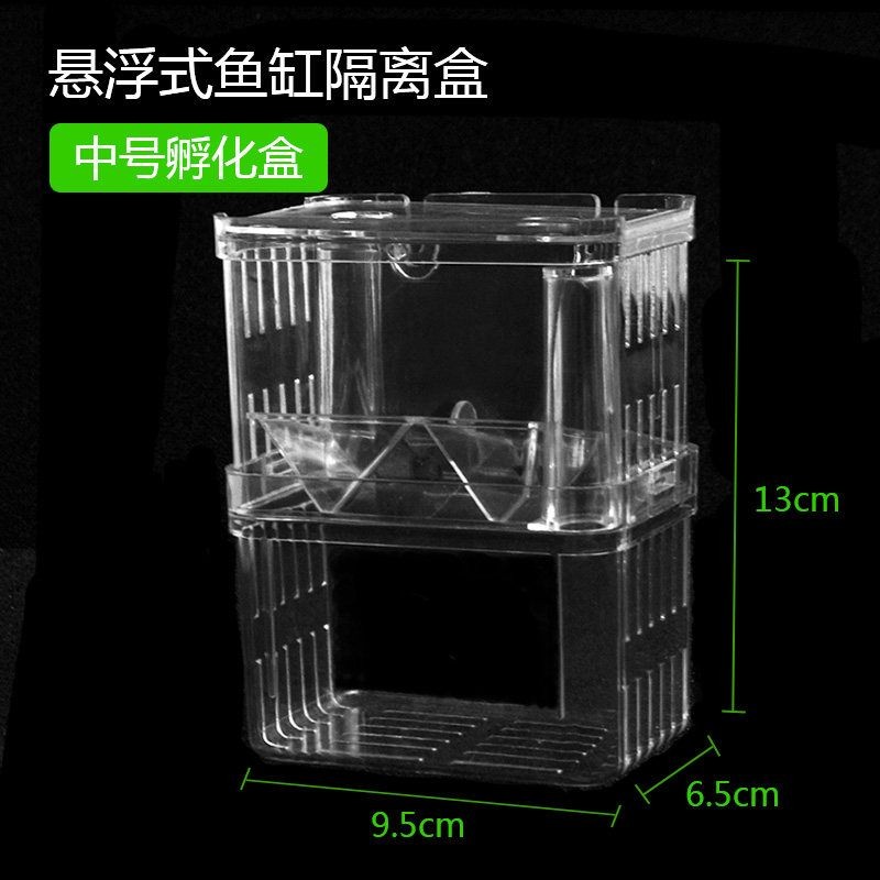 魚缸隔離盒是干什么的：魚缸隔離盒主要用于保護魚類