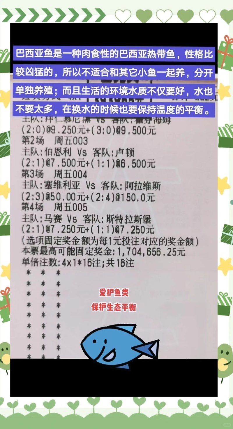 地圖魚和巴西亞魚能一起混養嗎