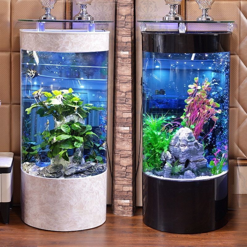 隔斷魚缸造景效果圖隔斷魚缸造景效果圖：隔斷魚缸造景效果圖是一種結(jié)合了觀賞性和功能性于一體的室內(nèi)裝飾方案 隔斷魚缸造景效果圖隔斷魚缸造景效果圖：隔斷魚缸造景效果圖是一種結(jié)合了觀賞性和功能性于一體的室內(nèi)裝飾方案 魚缸百科 第3張