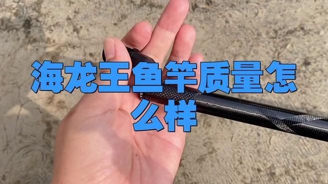 海龍王漁具怎么樣 龍魚論壇 第3張 海龍王漁具怎么樣 海龍王漁具怎么樣 龍魚論壇 第3張