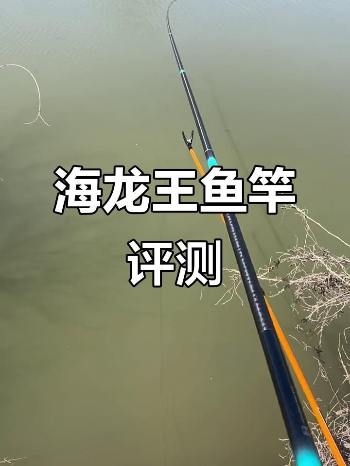 海龍王漁具怎么樣 龍魚論壇 第4張 海龍王漁具怎么樣 海龍王漁具怎么樣 龍魚論壇 第4張