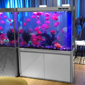 森森魚缸和其他魚缸的過濾有啥區別：森森魚缸的過濾系統與其他魚缸的過濾系統在設計上有一些區別