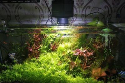 魚缸底部排水被沙子堵塞怎么辦？：a魚缸底部排水被沙子堵塞的解決方案