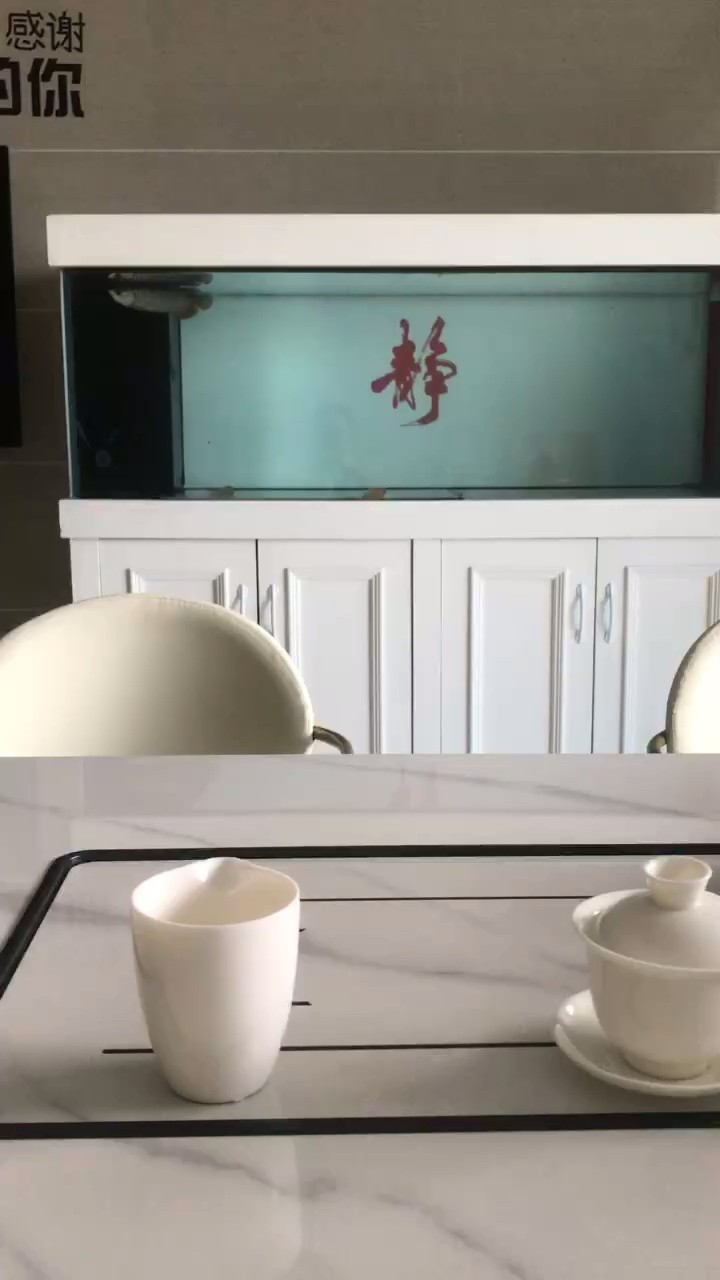 龍魚亂竄