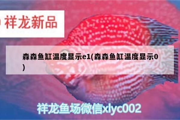 魚缸加熱棒h1故障：如何檢測(cè)魚缸加熱棒