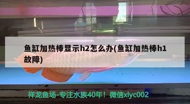 魚缸加熱棒h1故障：如何檢測(cè)魚缸加熱棒