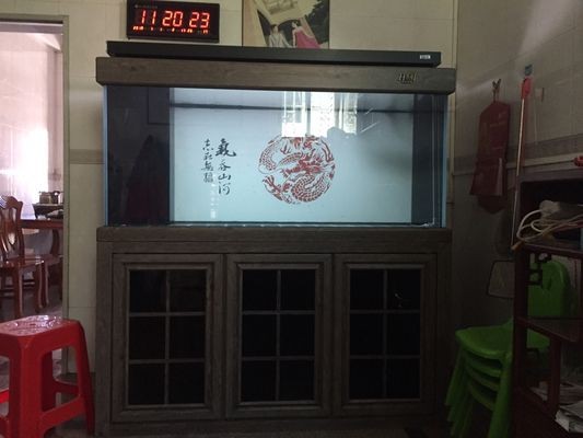 輝客映上魚缸：輝客映上魚缸的用戶評價匯總