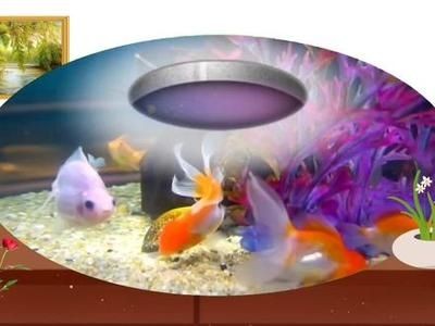 輝客映上魚(yú)缸：輝客映上魚(yú)缸的用戶評(píng)價(jià)匯總