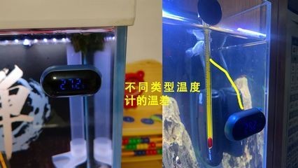 紅綠燈魚缸溫度適宜范圍是多少？：紅綠燈魚對水溫和水質(zhì)的要求較高