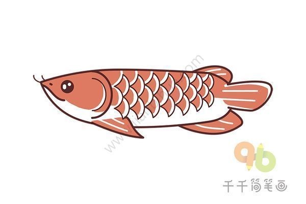 紅龍魚怎么畫簡單：兒童紅龍魚手工教程，紅龍魚繪畫技巧提升技巧提升