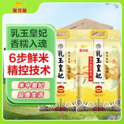 金龍魚10斤左右多少錢
